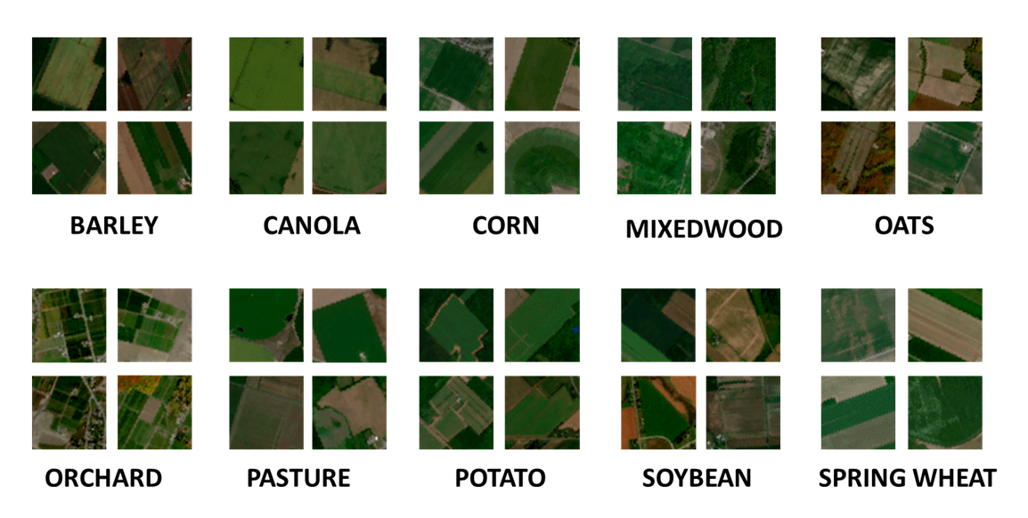 An overview of sample patches of the crop classes in the dataset. The images measure 64 x 64 pixels and have a spatial resolution of 10 m/pixel.